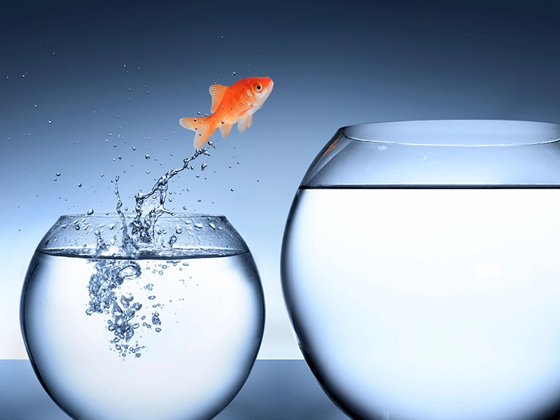 Change Management